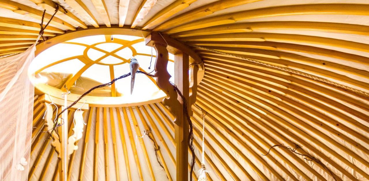 2 Cuori E 1 Yurta Glamping In Tuscany - Adults Only Asciano Extérieur photo